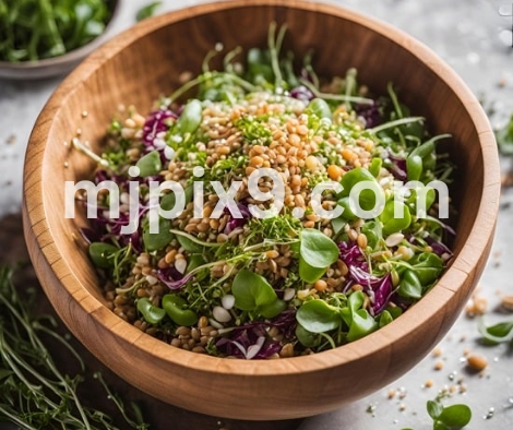 Free Food sprouts Images Pictures Photos Free Download HD