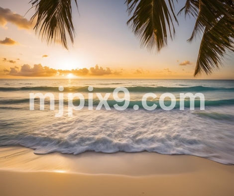 Free Beach Sunset mages Photos Pictures HD Download