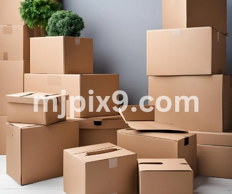 Cardboard boxes online shopping Delivery concept